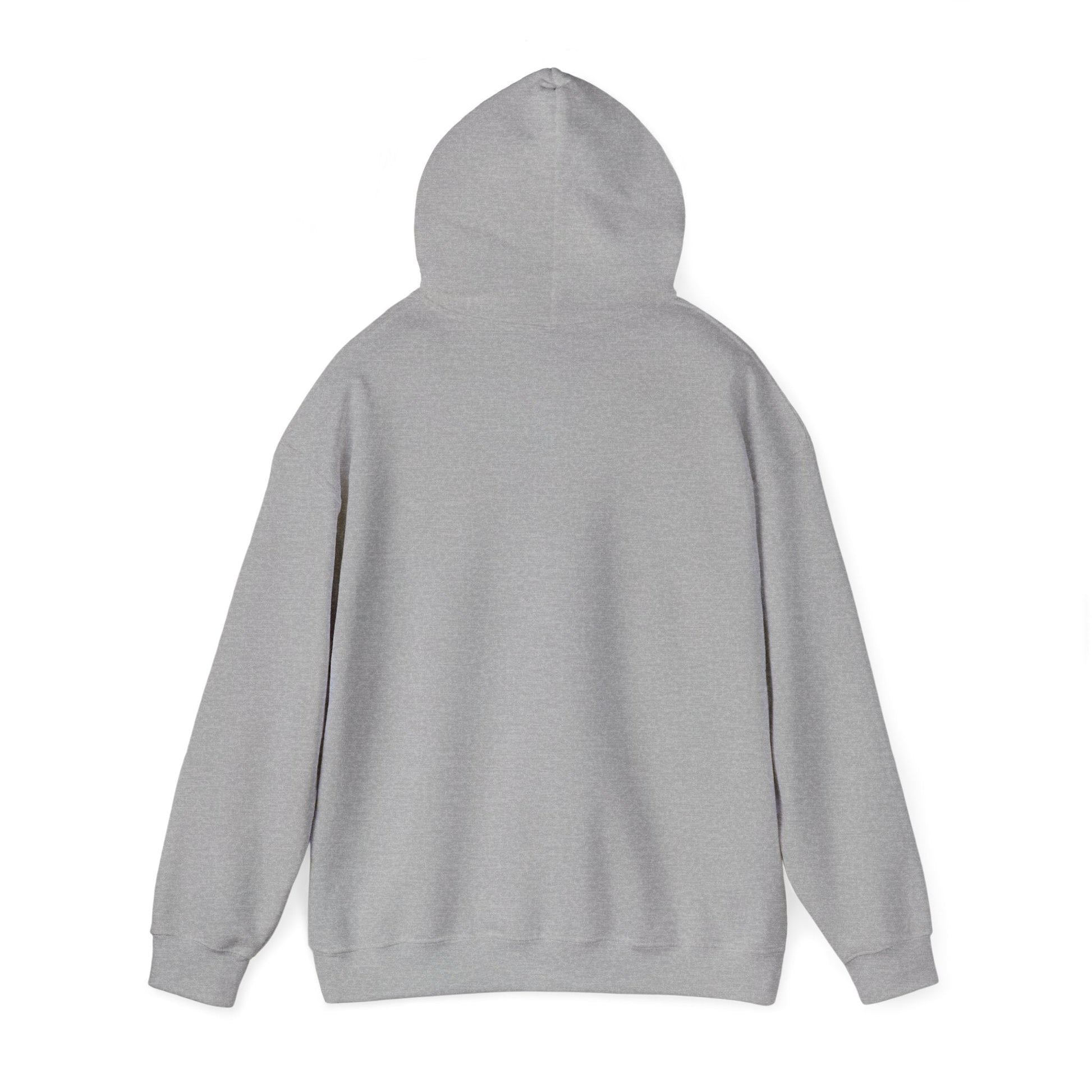 Be Still and Know Hoodie - Psalm 46:10 Christian Faith Sweatshirt - i am loved