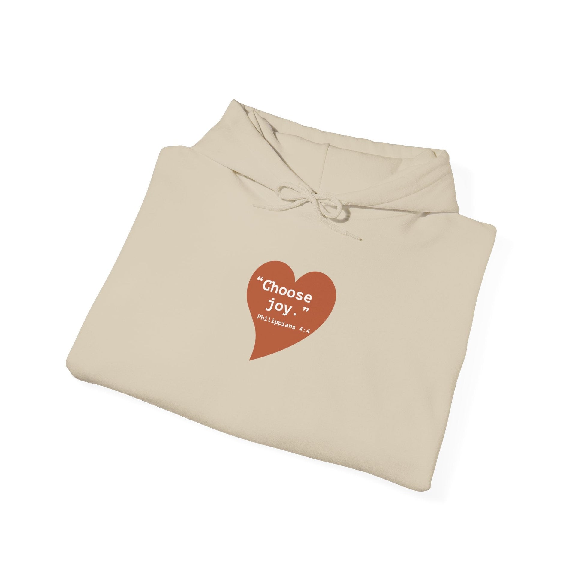 Choose Joy Hoodie - Philippians 4:4 Christian Faith Sweatshirt - i am loved