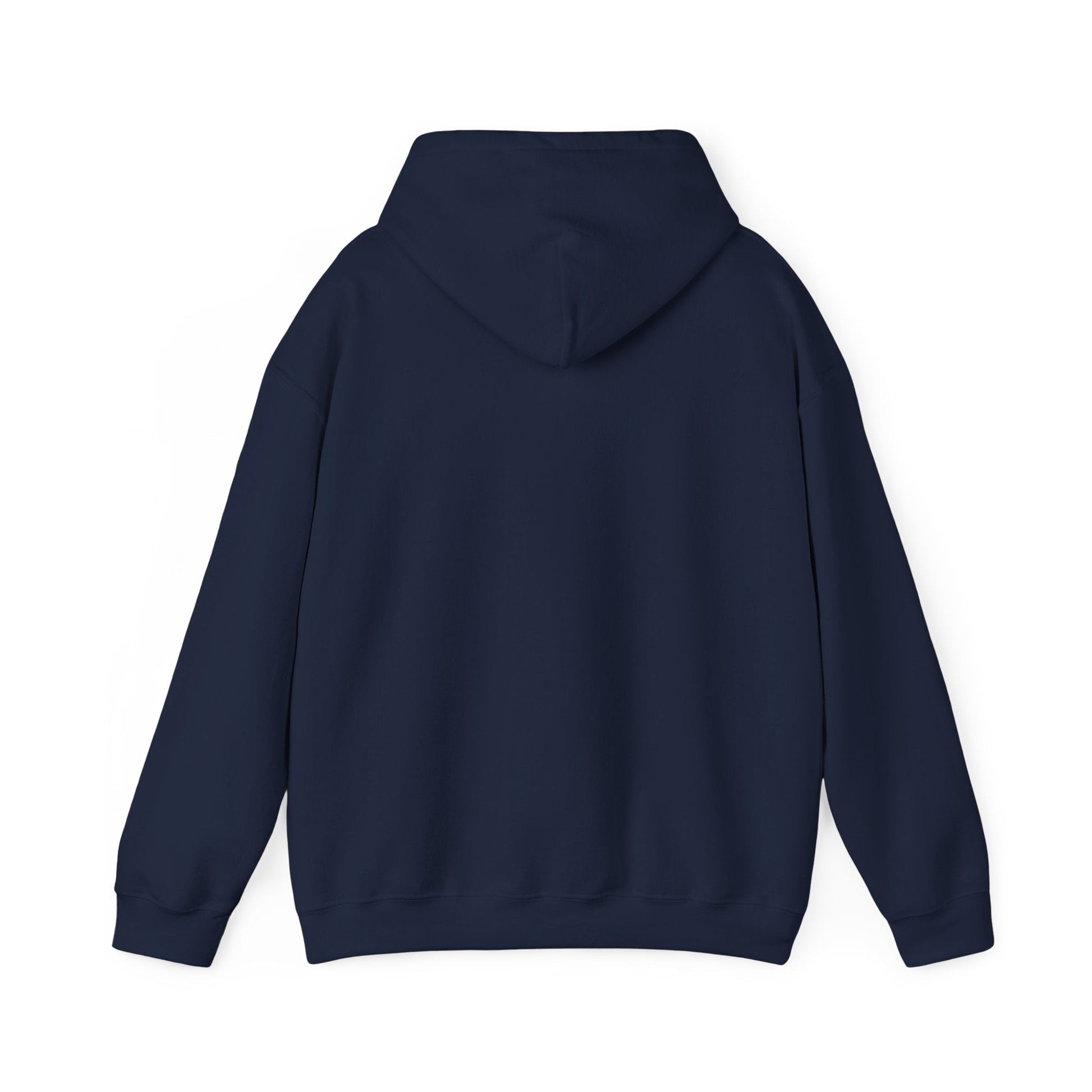 Choose Joy Hoodie - Philippians 4:4 Christian Faith Sweatshirt - i am loved