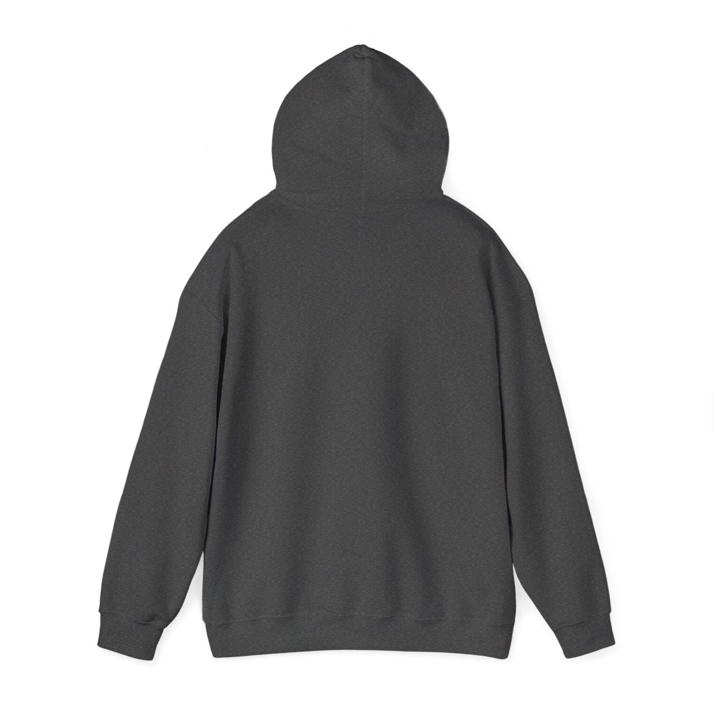 Choose Joy Hoodie - Philippians 4:4 Christian Faith Sweatshirt - i am loved