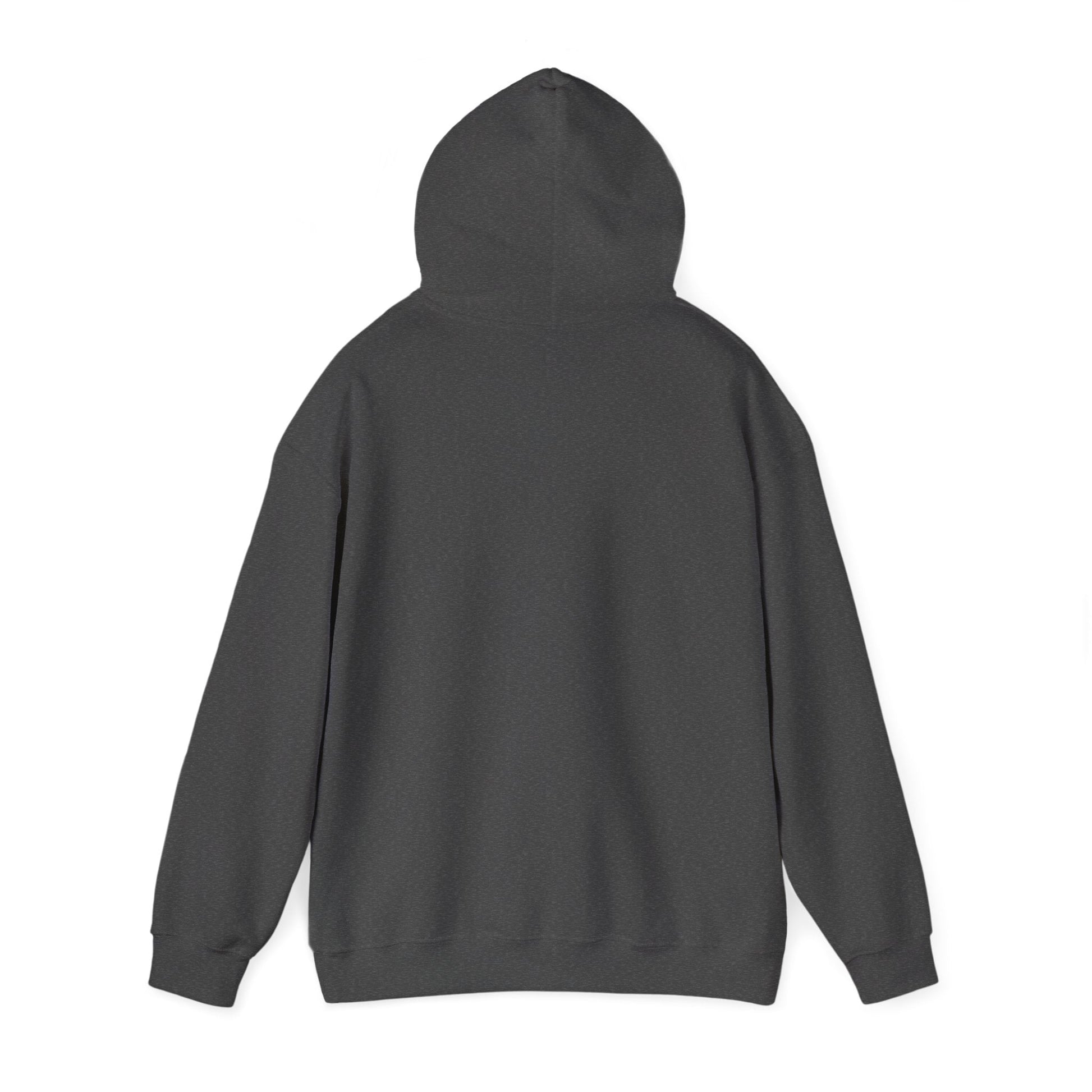 Choose Joy Hoodie - Philippians 4:4 Christian Faith Sweatshirt - i am loved